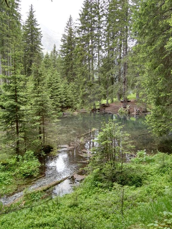 Готель Haus Groder Рауріс Екстер'єр фото
